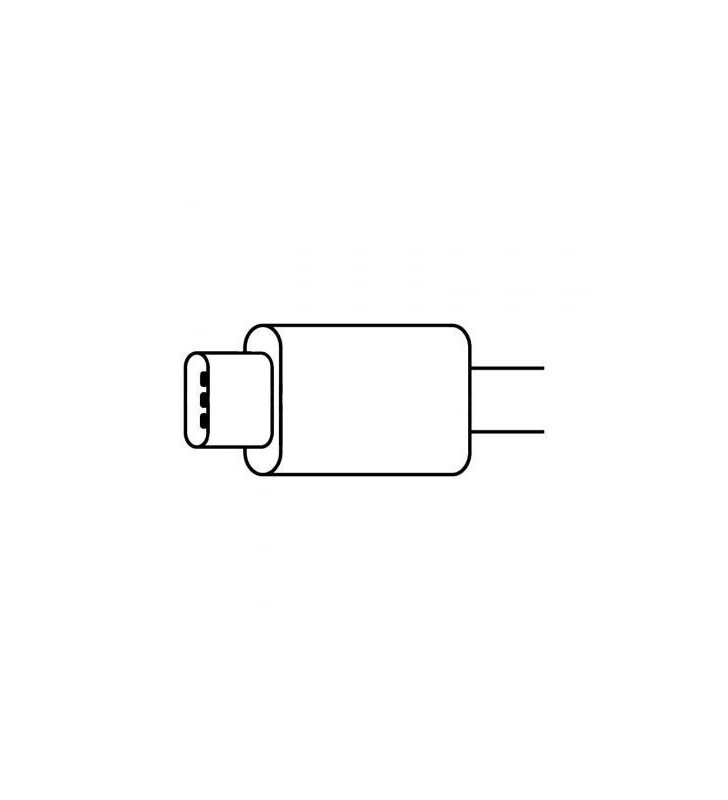 Cable de Carga USB 2.0 Apple MLL82ZM MLL82ZM/A